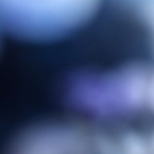 Meet your Posher, Molly